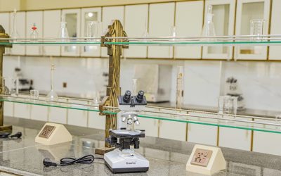 WhatsApp Image 2023-10-04 at 20.56.54_98187894