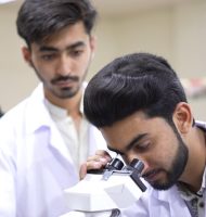 WhatsApp Image 2025-07-12 at 1.26.45 PM