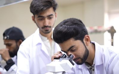 WhatsApp Image 2025-07-12 at 1.26.45 PM