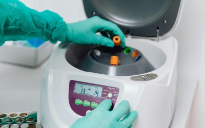 pexels-karolina-grabowska-6627661